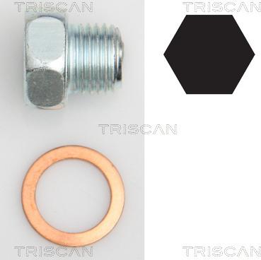 Triscan 9500 2404 - Surub de golire,baia de ulei aaoparts.ro
