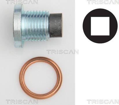 Triscan 9500 2801 - Surub de golire,baia de ulei aaoparts.ro