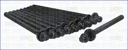 Triscan 98-5010 - Set surub, chiulasa aaoparts.ro