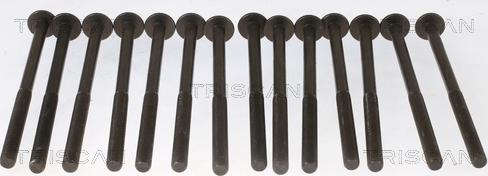 Triscan 98-1014 - Set surub, chiulasa aaoparts.ro