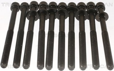 Triscan 98-1017 - Set surub, chiulasa aaoparts.ro