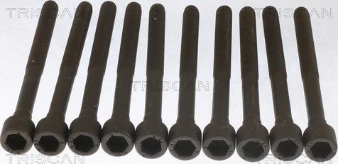 Triscan 98-1021 - Set surub, chiulasa aaoparts.ro