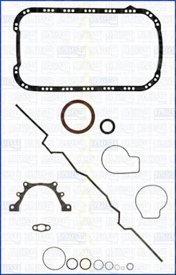 Triscan 595-1525 - Set garnituri, carter aaoparts.ro