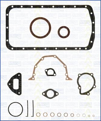 Triscan 595-1806 - Set garnituri, carter aaoparts.ro