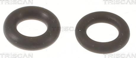 Triscan 596-1004 - Set garnituri etansare,injectoare aaoparts.ro