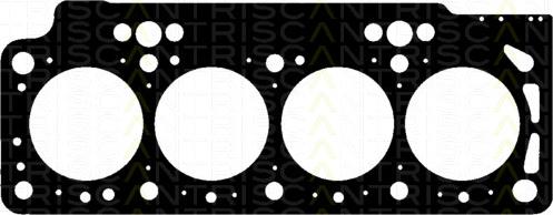 Triscan 501-8005 - Garnitura, chiulasa aaoparts.ro