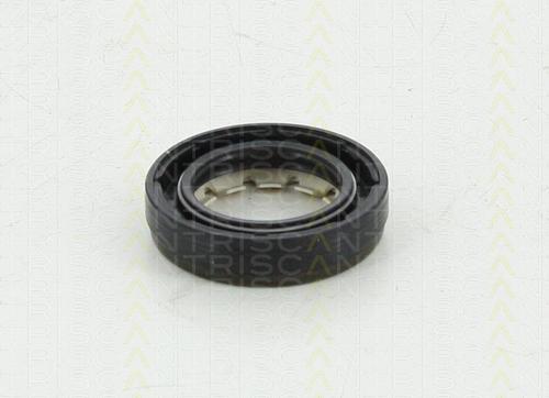 Triscan 8550 10043 - Simering, diferential aaoparts.ro