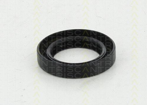Triscan 8550 10047 - Simering, diferential aaoparts.ro
