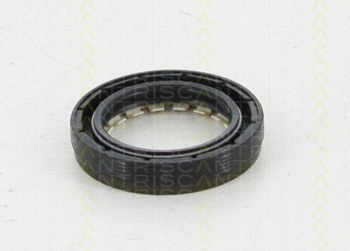 Triscan 8550 10024 - Simering, diferential aaoparts.ro