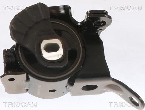 Triscan 8505 50100 - Suport motor aaoparts.ro