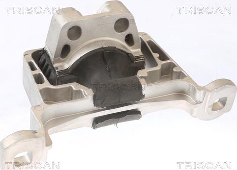 Triscan 8505 10105 - Suport motor aaoparts.ro