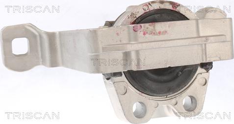 Triscan 8505 10105 - Suport motor aaoparts.ro