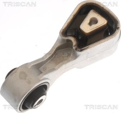 Triscan 8505 10107 - Suport motor aaoparts.ro