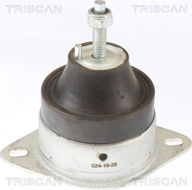 Triscan 8505 10119 - Suport motor aaoparts.ro