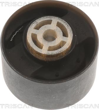 Triscan 8505 10113 - Suport motor aaoparts.ro