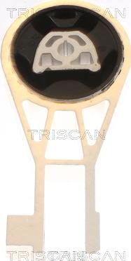 Triscan 8505 10134 - Suport motor aaoparts.ro