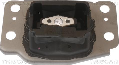 Triscan 8505 10137 - Suport motor aaoparts.ro