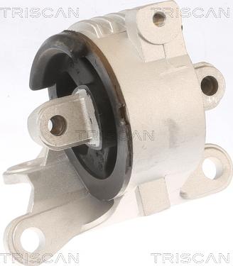 Triscan 8505 10129 - Suport motor aaoparts.ro