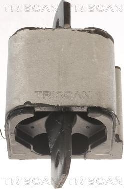 Triscan 8505 10120 - Suport motor aaoparts.ro