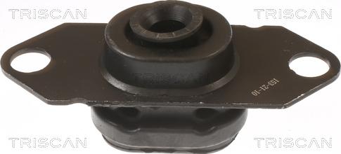 Triscan 8505 10202 - Suport motor aaoparts.ro