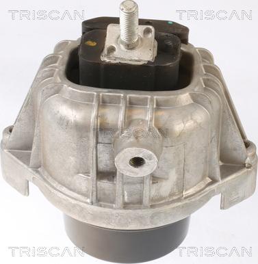 Triscan 8505 11110 - Suport motor aaoparts.ro