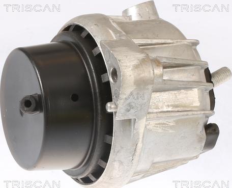 Triscan 8505 11110 - Suport motor aaoparts.ro