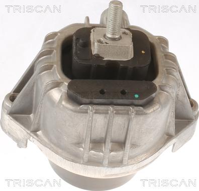 Triscan 8505 11111 - Suport motor aaoparts.ro