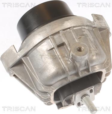 Triscan 8505 11111 - Suport motor aaoparts.ro