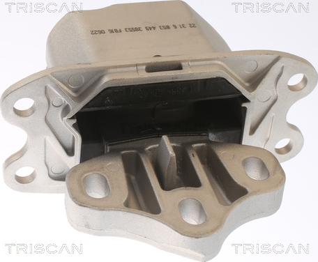 Triscan 8505 11120 - Suport motor aaoparts.ro