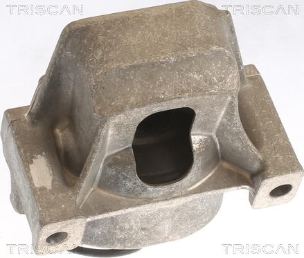 Triscan 8505 29196 - Suport motor aaoparts.ro