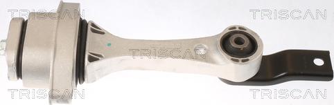 Triscan 8505 29100 - Suport motor aaoparts.ro