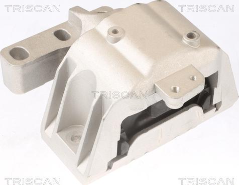 Triscan 8505 29107 - Suport motor aaoparts.ro