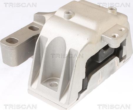 Triscan 8505 29115 - Suport motor aaoparts.ro