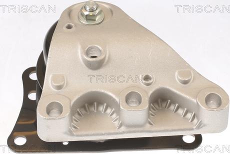 Triscan 8505 29110 - Suport motor aaoparts.ro