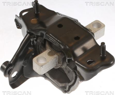 Triscan 8505 29139 - Suport motor aaoparts.ro