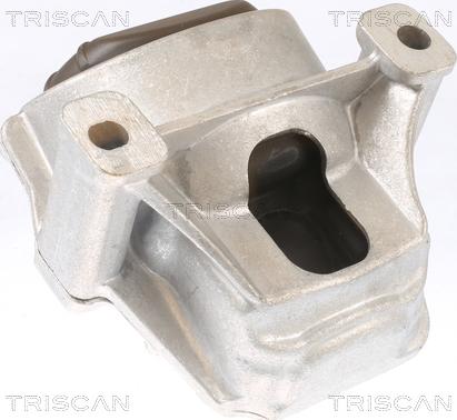 Triscan 8505 29130 - Suport motor aaoparts.ro
