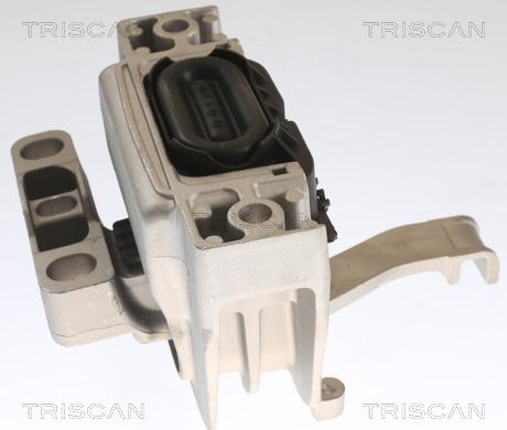 Triscan 8505 29129 - Suport motor aaoparts.ro