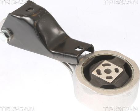 Triscan 8505 29120 - Suport motor aaoparts.ro