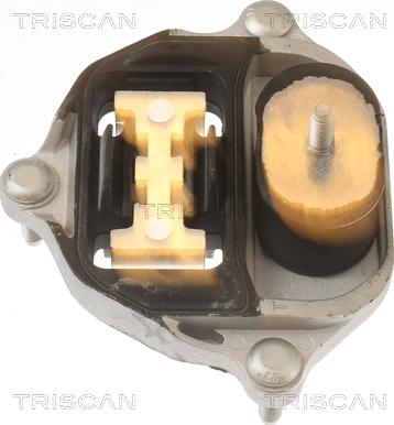 Triscan 8505 29218 - Suport, transmisie automata aaoparts.ro