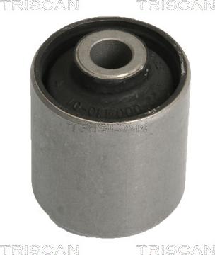 Triscan 8500 10810 - Suport, ax aaoparts.ro