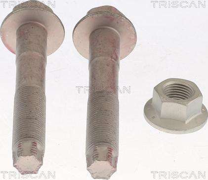 Triscan 850013401 - Set reparatie, suspensie aaoparts.ro