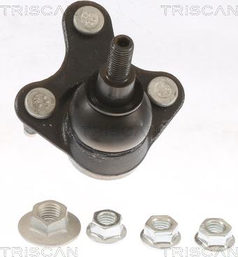 Triscan 8500 29599 - Articulatie sarcina / ghidare aaoparts.ro