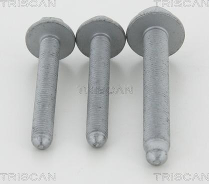 Triscan 8500 298015 - Set montare, legatura aaoparts.ro