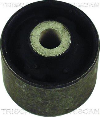 Triscan 8500 29811 - Suport, ax aaoparts.ro