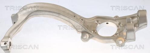 Triscan 8500 29719 - Articulatie directie, suspensie roata aaoparts.ro