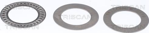 Triscan 8500 24925 - Rulment sarcina suport arc aaoparts.ro