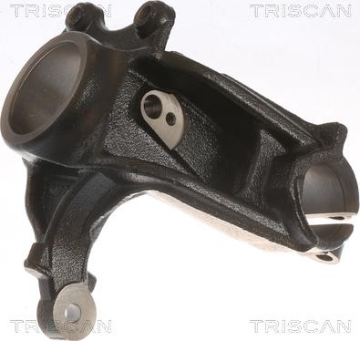 Triscan 8500 28703 - Articulatie directie, suspensie roata aaoparts.ro