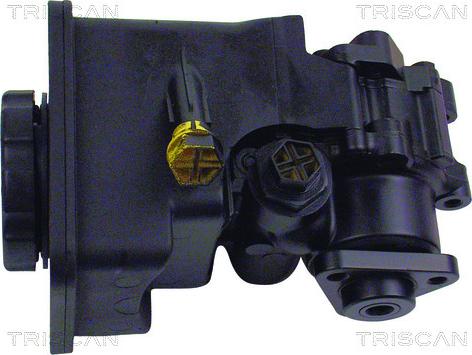 Triscan 8515 11610 - Pompa hidraulica, sistem de directie aaoparts.ro