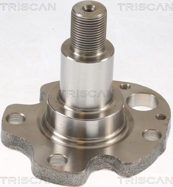 Triscan 8535 29014 - Butuc roata aaoparts.ro