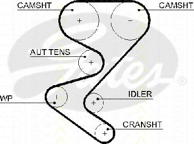 Triscan 8645 5608xs - Curea de distributie aaoparts.ro